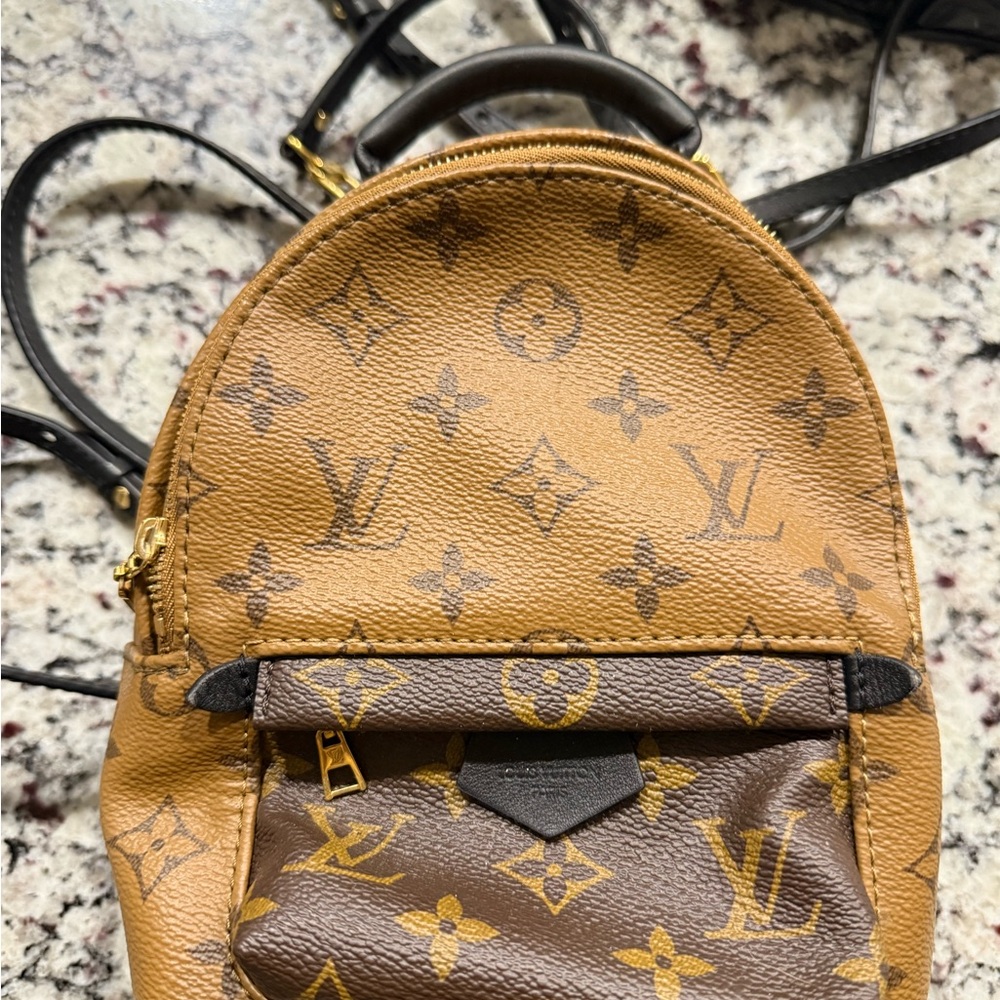 Louis Vuitton Tan and Brown Palm Springs Mini Backpack